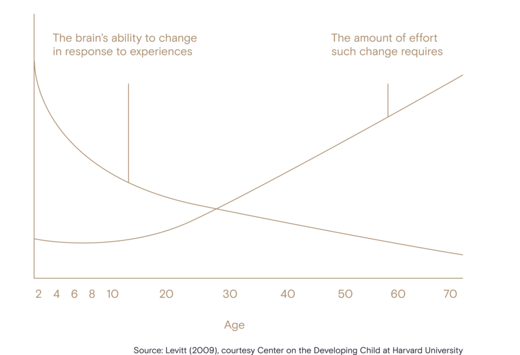 Levit 2009, courtesy Center on the Developing Child at Harvard University
