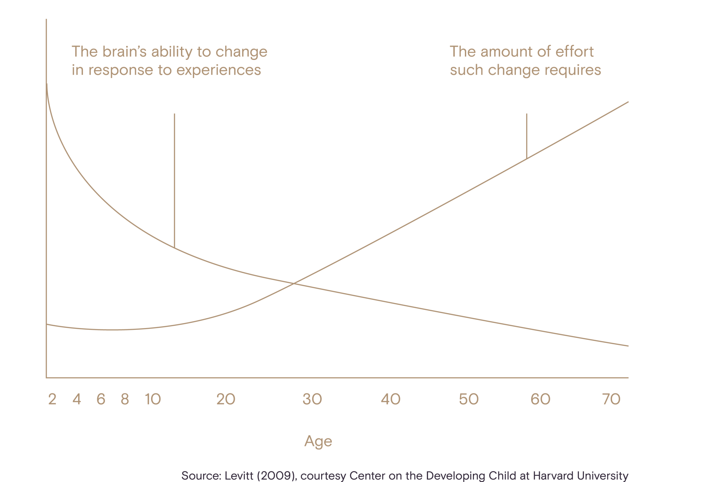 Levit 2009, courtesy Center on the Developing Child at Harvard University